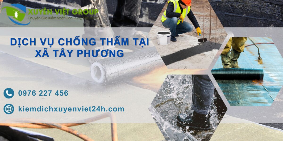 Dịch vụ chống thấm tại xã Tây Phương