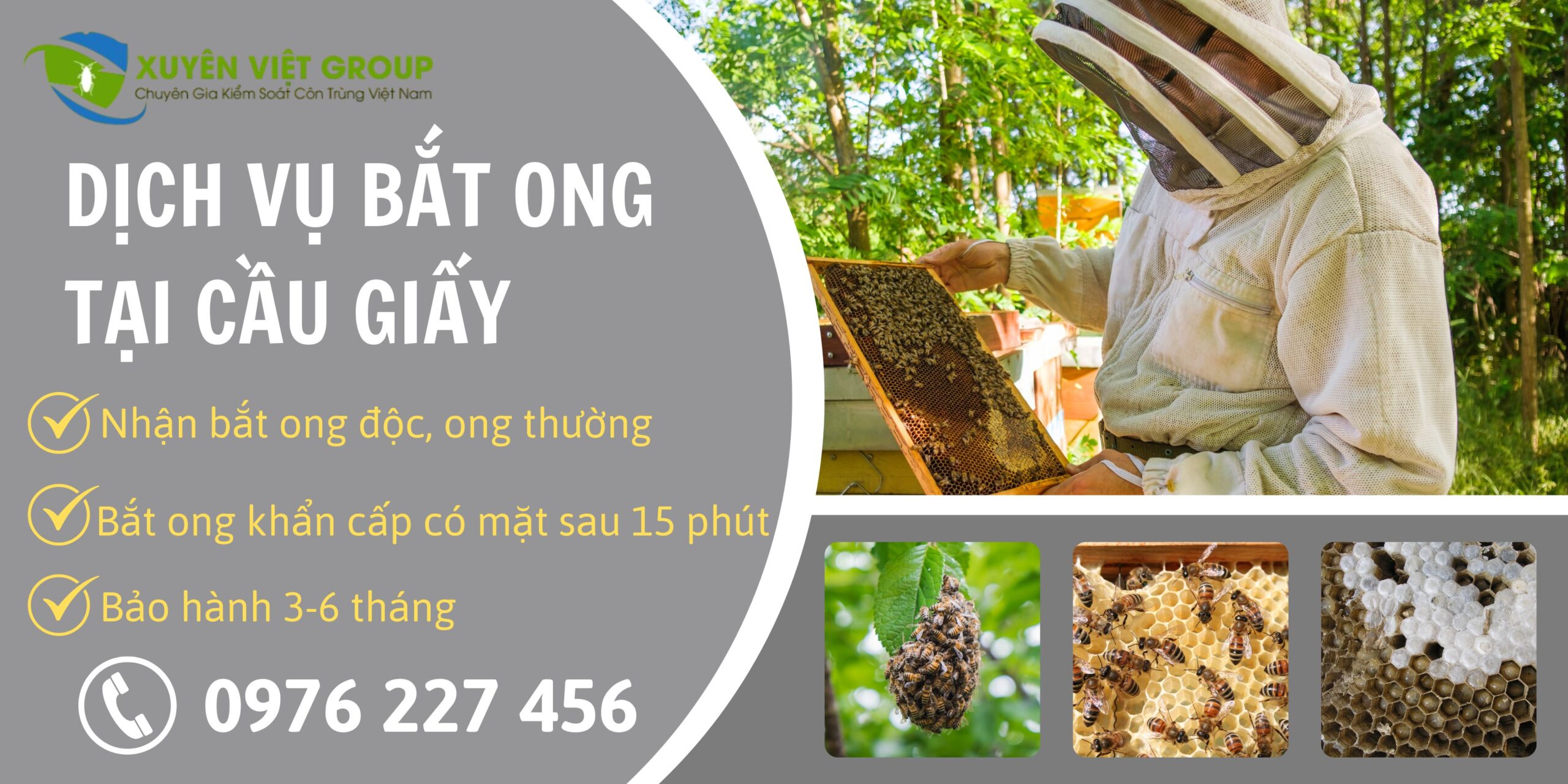 Dịch vụ bắt ong tại Cầu Giấy
