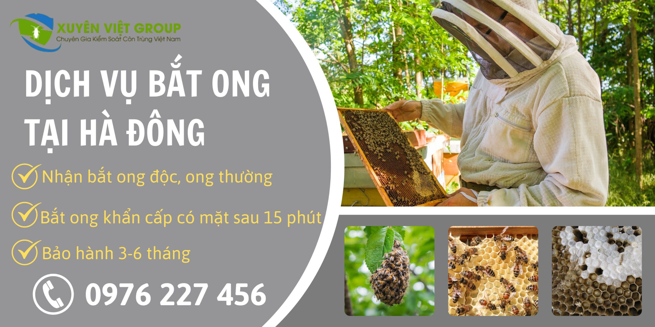 Dịch vụ bắt ong tại Hà Đông