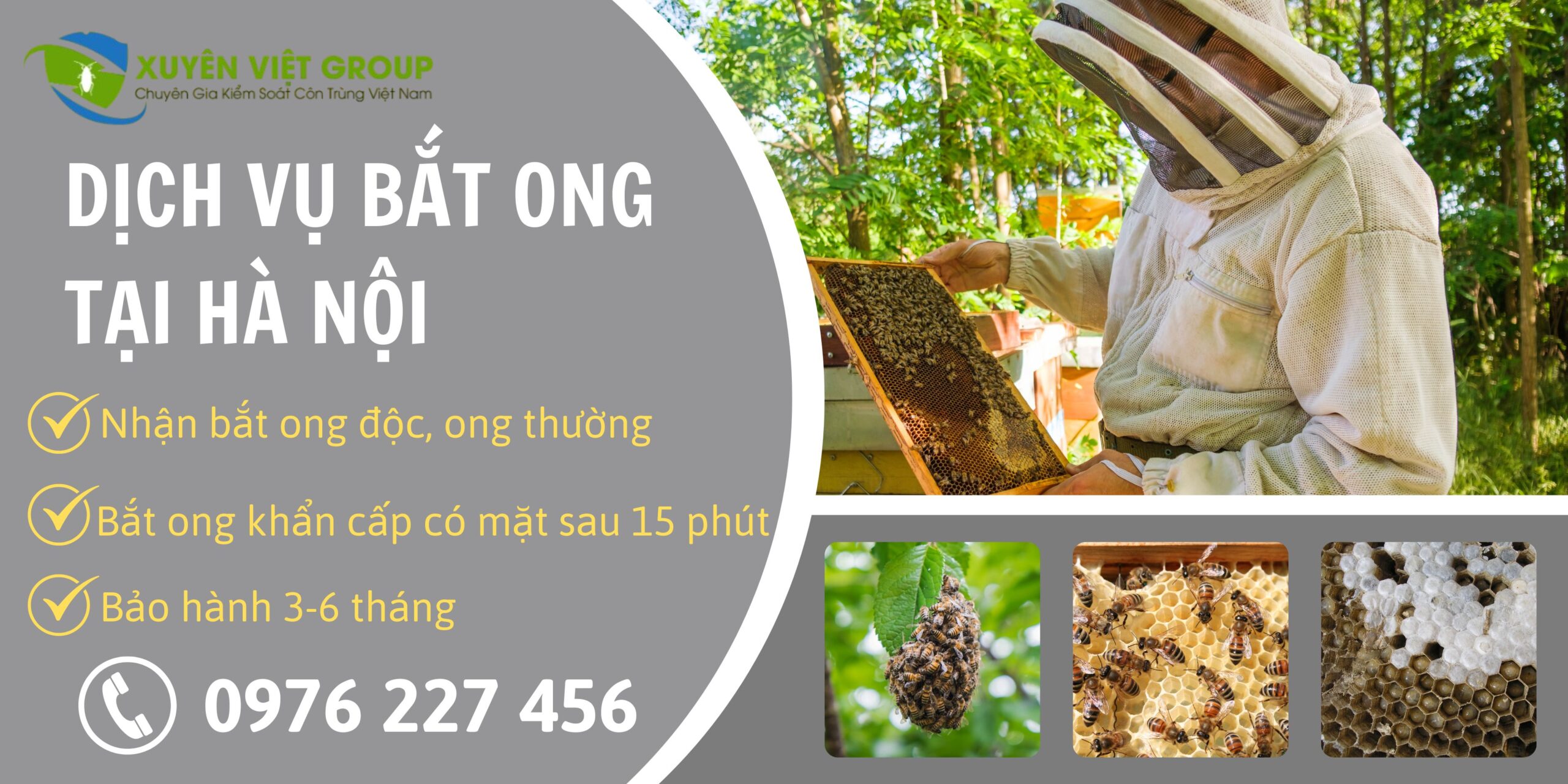 Dịch vụ bắt ong tại Hà Nội