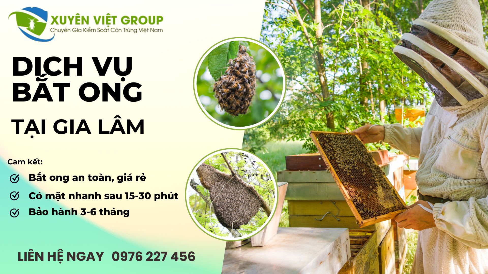 Dịch vụ bắt ong tại Gia Lâm
