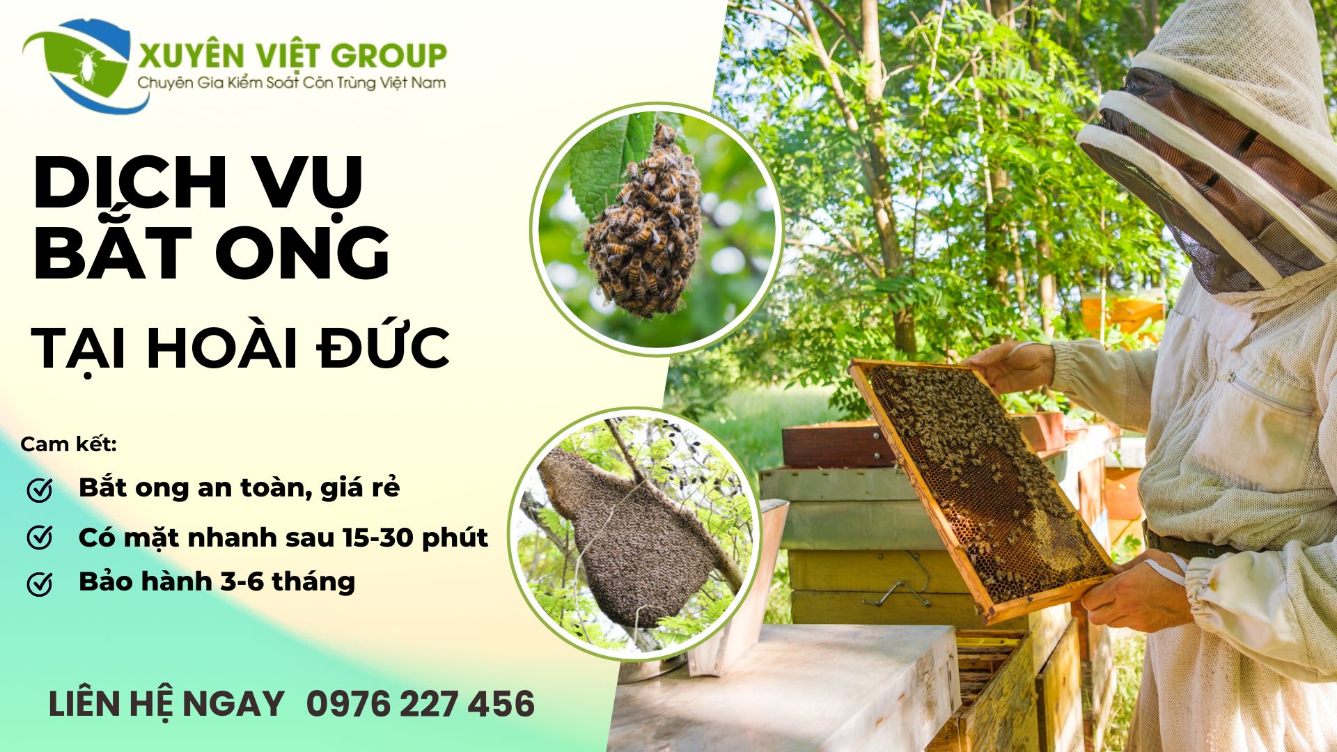 Dịch vụ bắt ong tại Hoài Đức