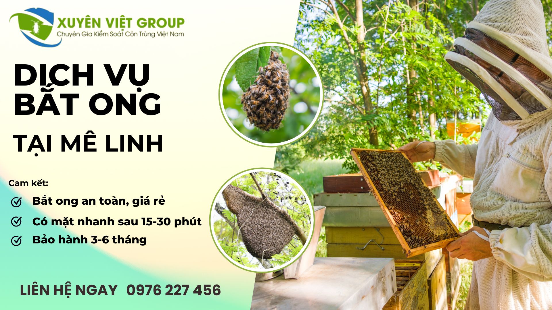 Dịch vụ bắt ong tại Mê Linh