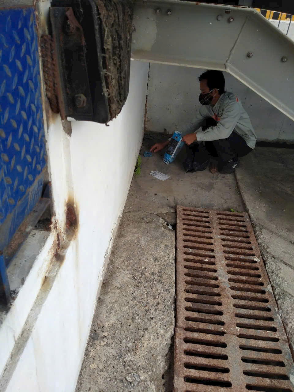 Diệt chuột chung cư và nhà trọ tại Gia Lâm hiệu quả