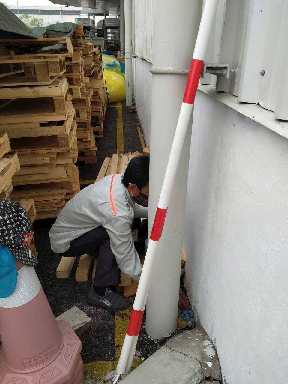 Dịch vụ diệt chuột tại Hà Nội cho xưởng gỗ