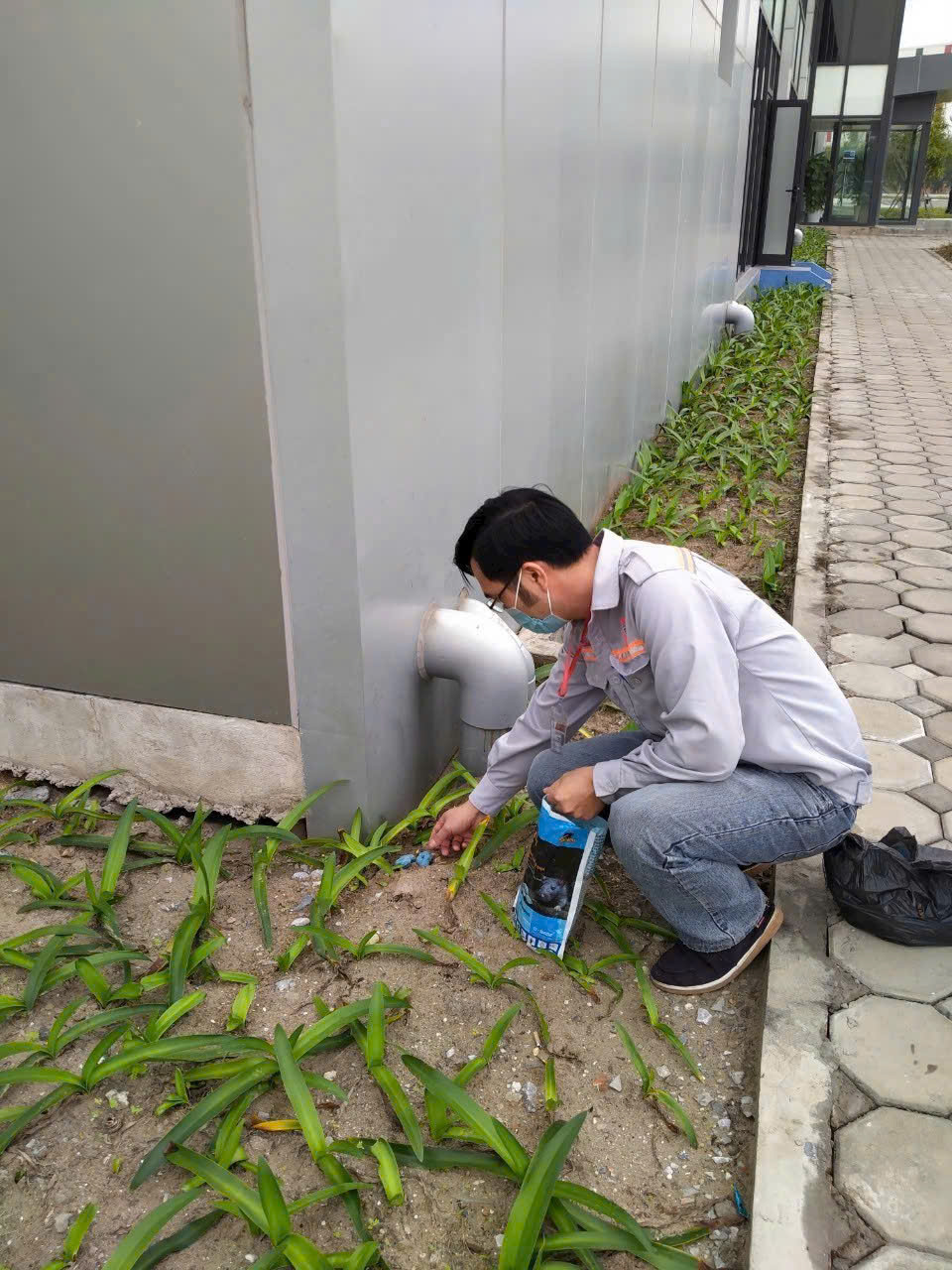 Diệt chuột sinh học an toàn tại Đống Đa Hà Nội