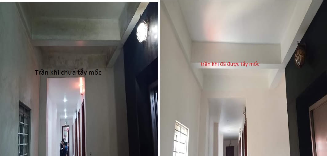 Tẩy mốc tường và trần sạch bong cho hộ gia đình tại Hà Nội nhanh chóng
