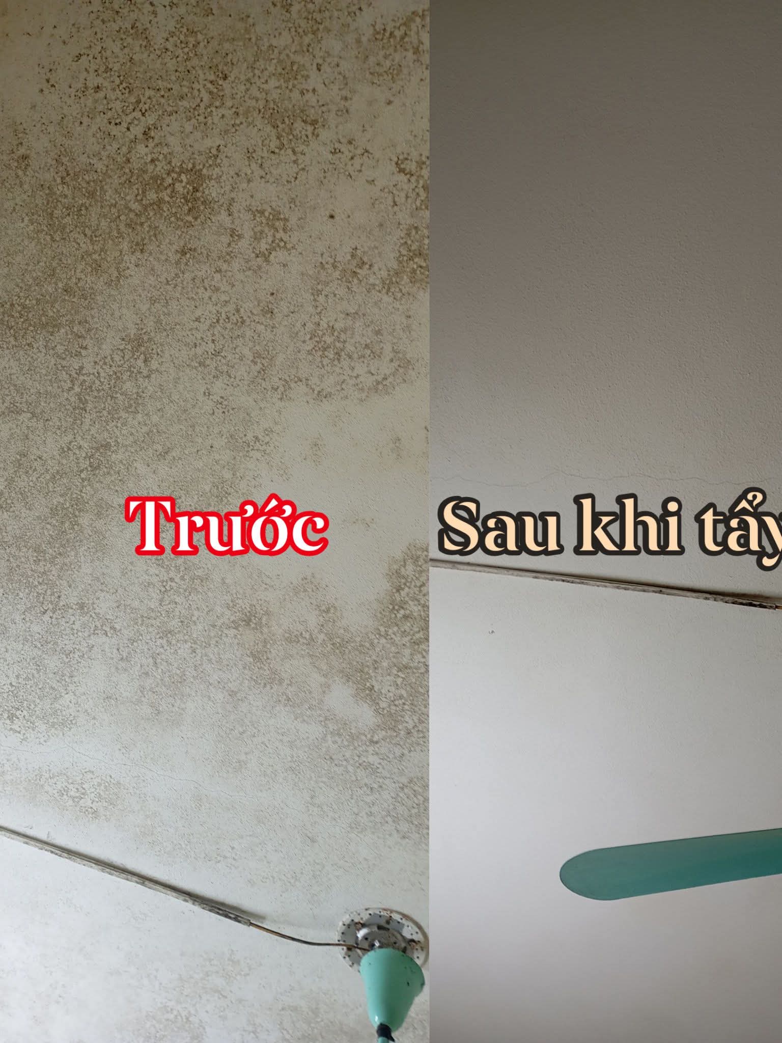 Tẩy mốc tường, trần nhà tại Hà Nội uy tín, triệt để cùng Xuyên Việt