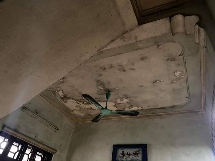 Tường nhà ẩm mốc bong tróc phải làm sao để bảo vệ sức khỏe gia đình khỏi vi khuẩn độc hại