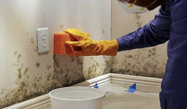 Lưu ý sau khi tẩy mốc tường tại Hà Nội để ngăn nấm mốc tái phát