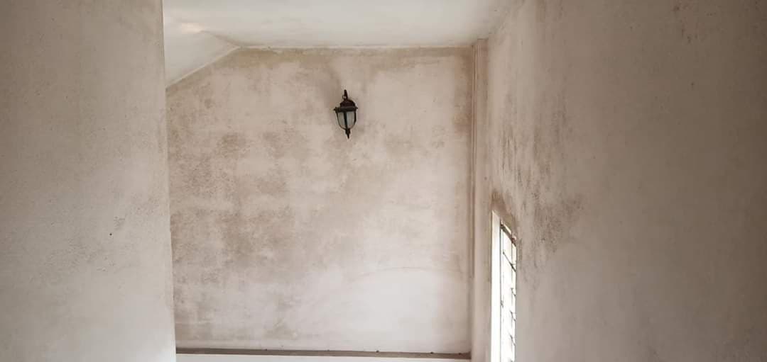 Hiện tượng tường nhà bị ẩm chảy nước mùa nồm sinh ra nấm mốc đen loang lổ