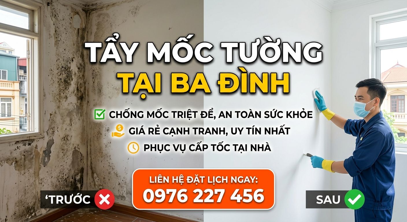 Tẩy mốc tường tại Ba Đình