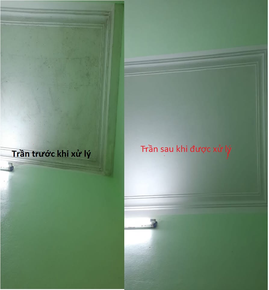 Dịch vụ tẩy mốc tường và trần tại Ba Đình chuyên nghiệp của Xuyên Việt 
