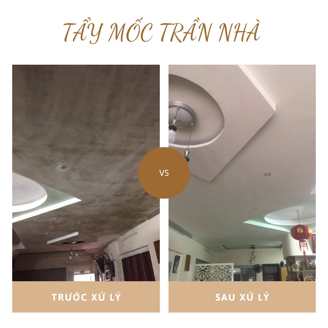 Thi công dịch vụ chống thấm và tẩy mốc trọn gói tại Thanh Xuân