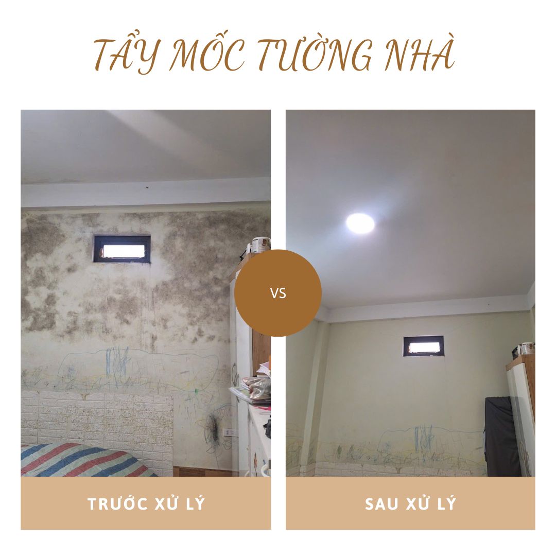 Đơn vị tẩy mốc tường tại Hà Đông uy tín, có bảo hành