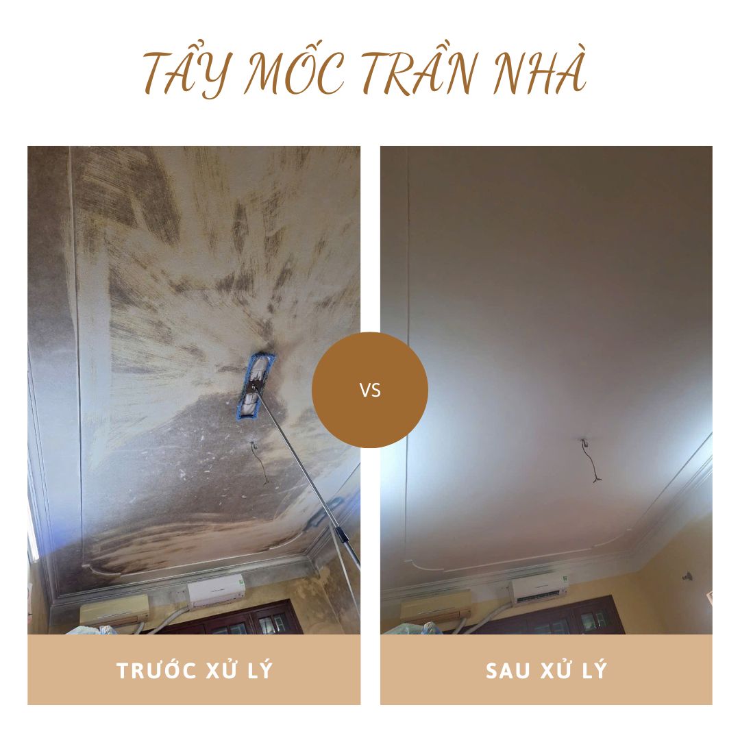 Xử lý mốc trần nhà tại Hoàng Mai hiệu quả