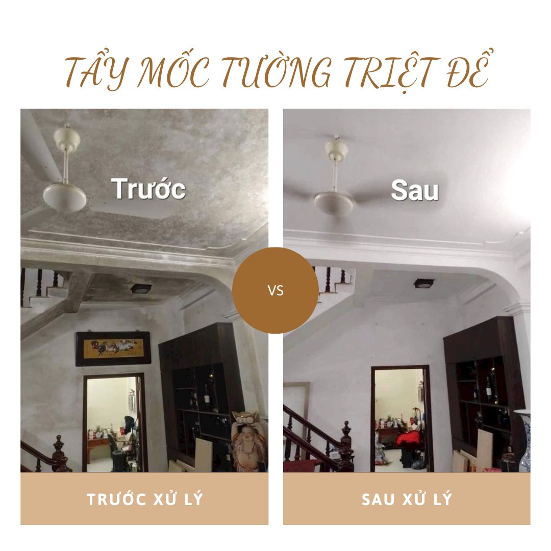 Tẩy mốc tường và trần tại Hoàn Kiếm cho nhà phố lâu năm