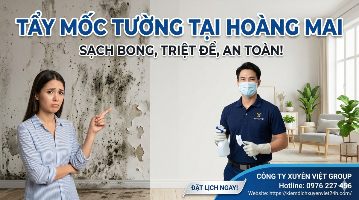 Tẩy Mốc Tường Tại Hoàng Mai