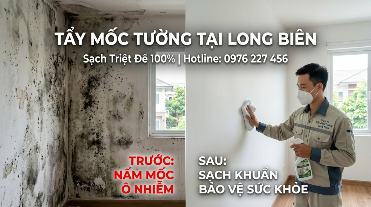 Tẩy Mốc Tường Tại Long Biên