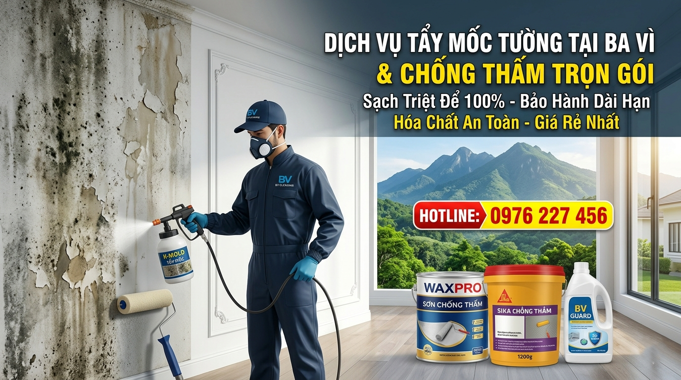 Tẩy mốc tường tại Ba Vì