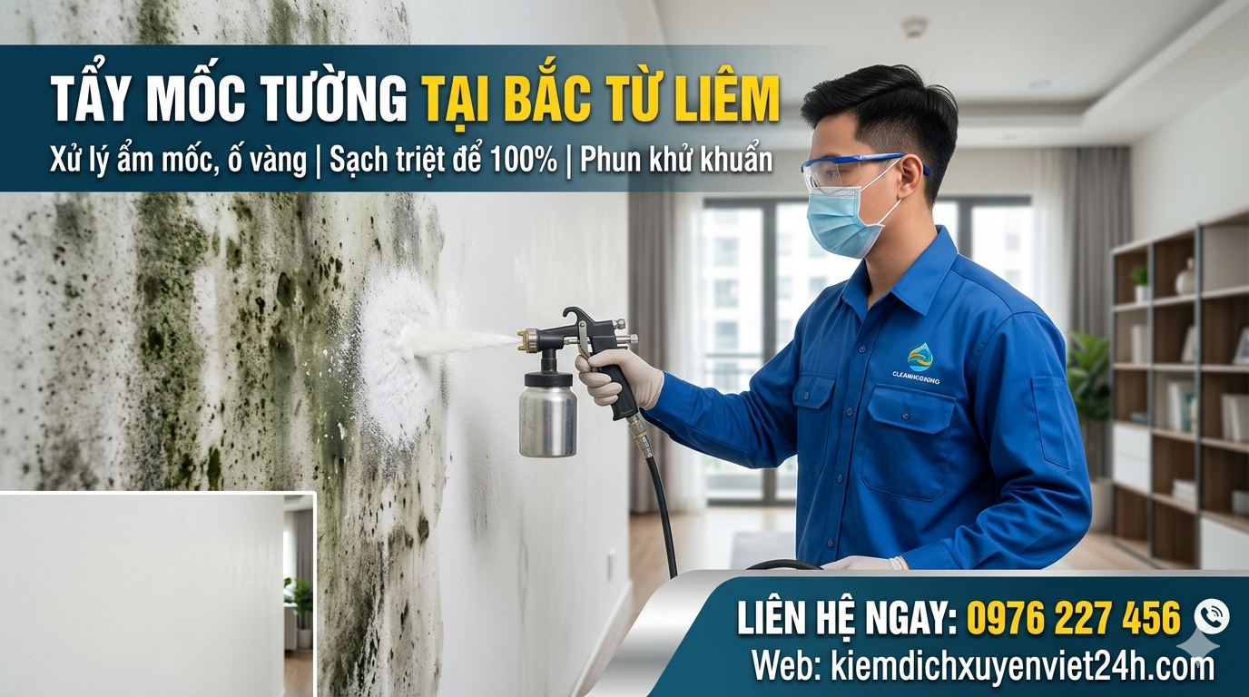 Tẩy mốc tường tại Bắc Từ Liêm