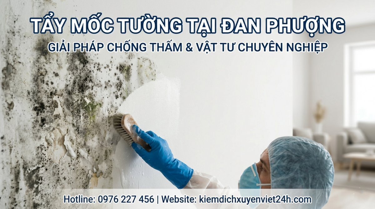 Tẩy mốc tường tại Đan Phượng