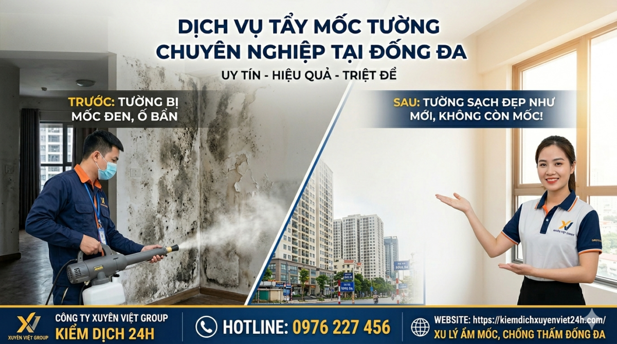 Tẩy mốc tường tại Đống Đa