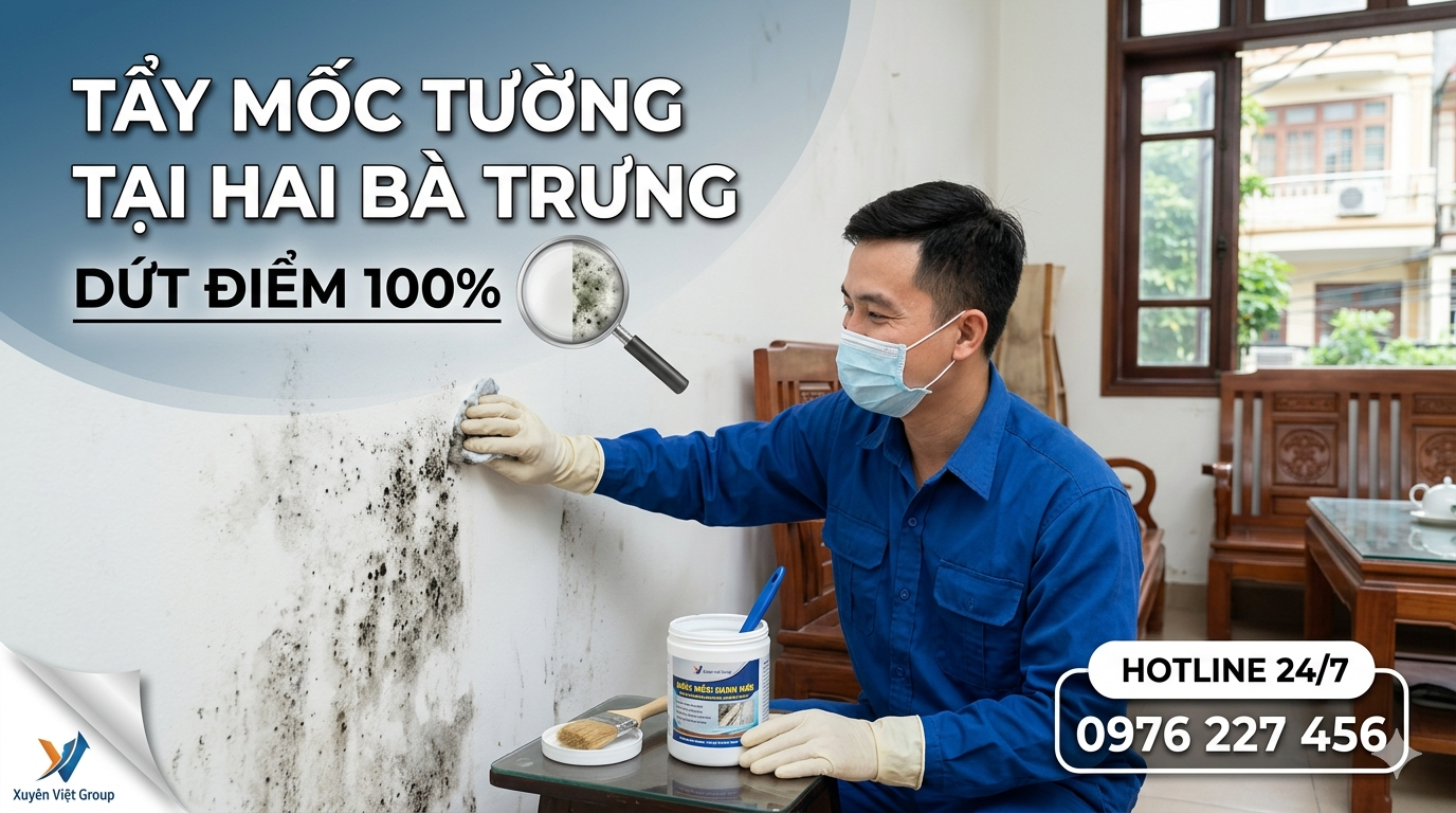 Tẩy mốc tường tại Hai Bà Trưng