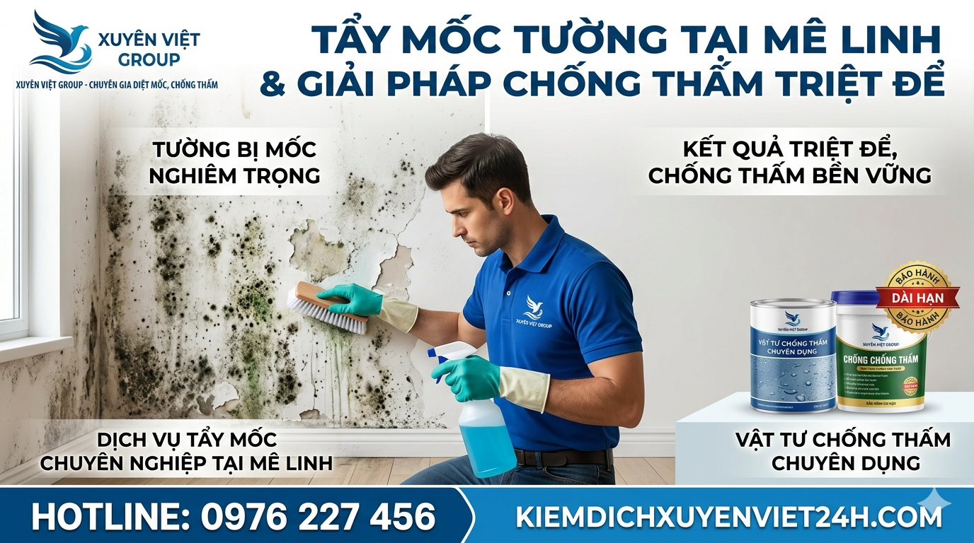 Tẩy mốc tường tại Mê Linh