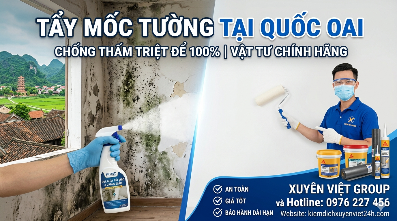 Tẩy mốc tường tại Quốc Oai