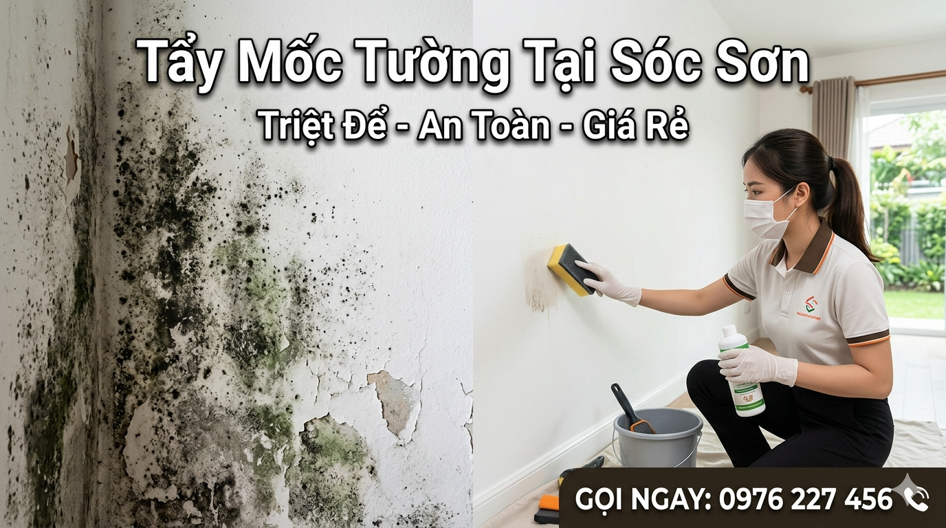 Tẩy mốc tường tại Sóc Sơn