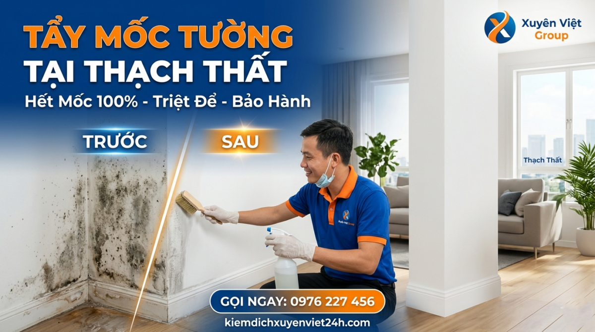 Tẩy mốc tường tại Thạch Thất