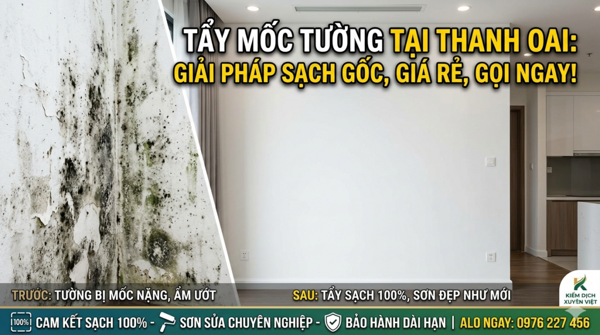 Tẩy mốc tường tại Thanh Oai