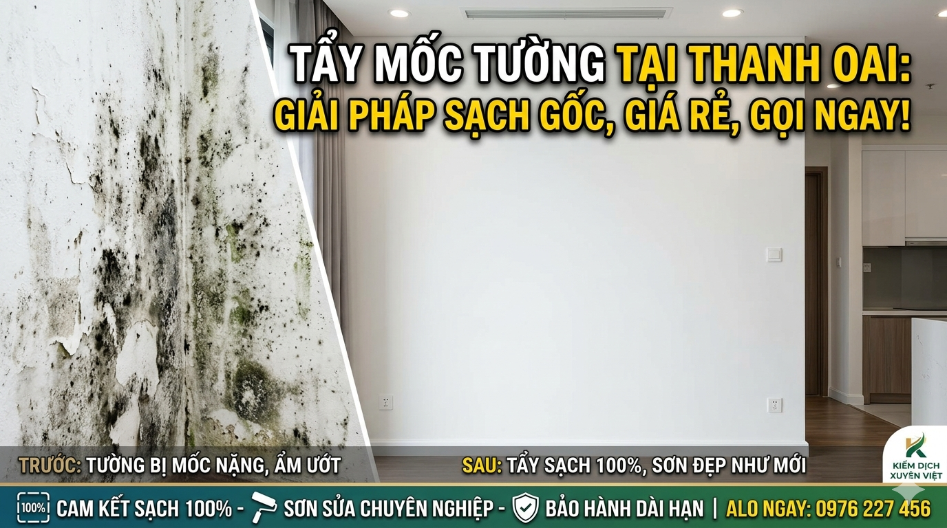 Tẩy mốc tường tại Thanh Oai