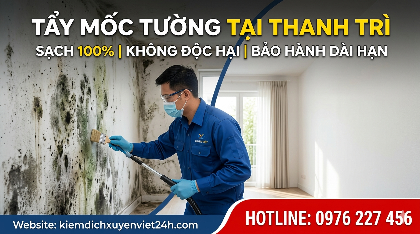 Tẩy mốc tường tại Thanh Trì