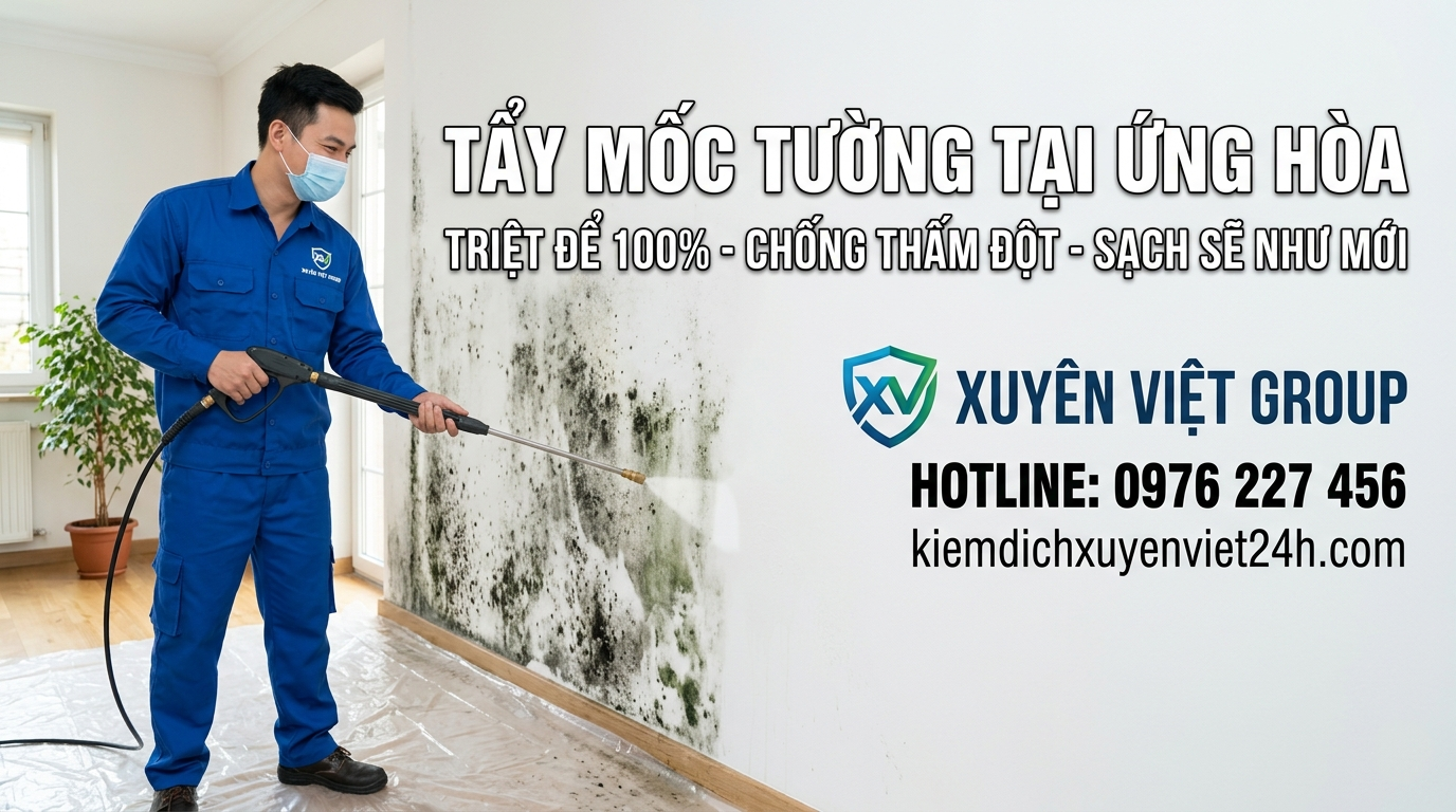 Tẩy mốc tường tại Ứng Hòa