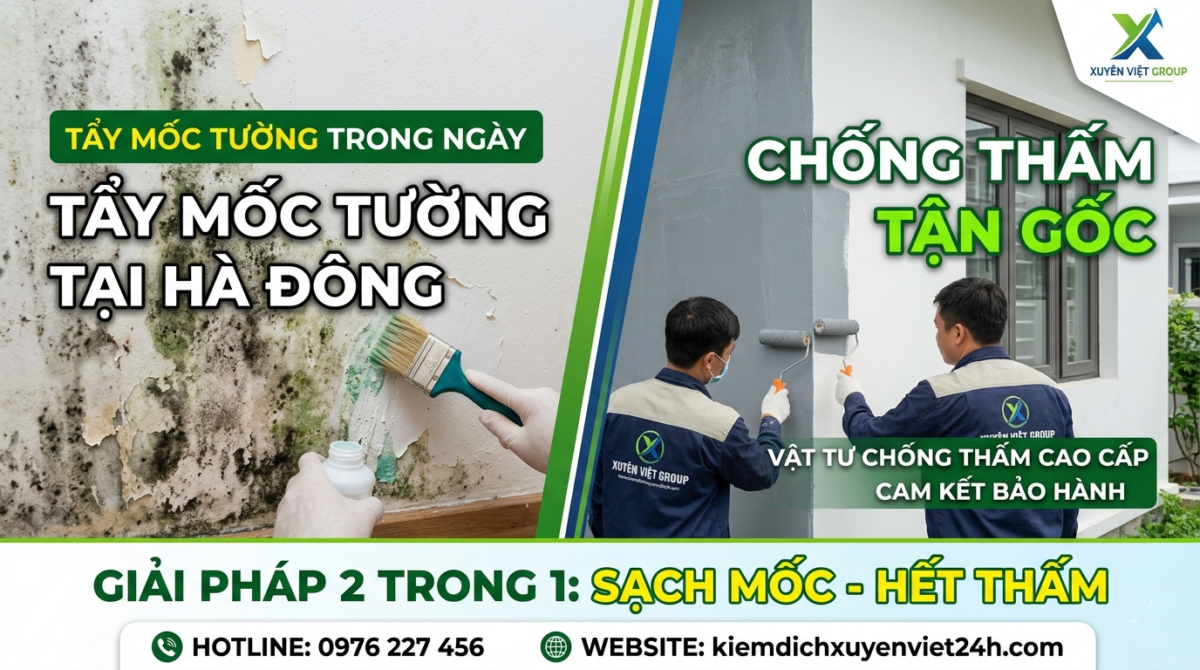 Tẩy Mốc Tường Tại Hà Đông