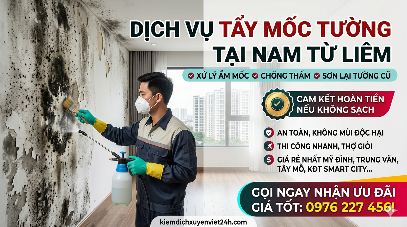 Tẩy mốc tường tại Nam Từ Liêm