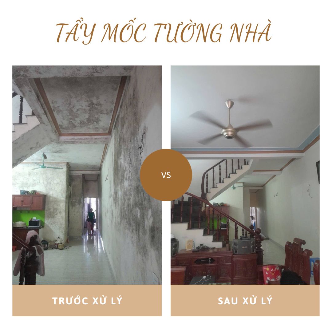 Đội thợ công ty chống thấm mốc nhà dân uy tín Xuyên Việt Group 