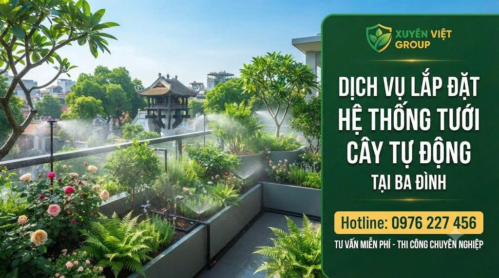 Dịch vụ lắp đặt hệ thống tưới cây tự động tại Ba Đình