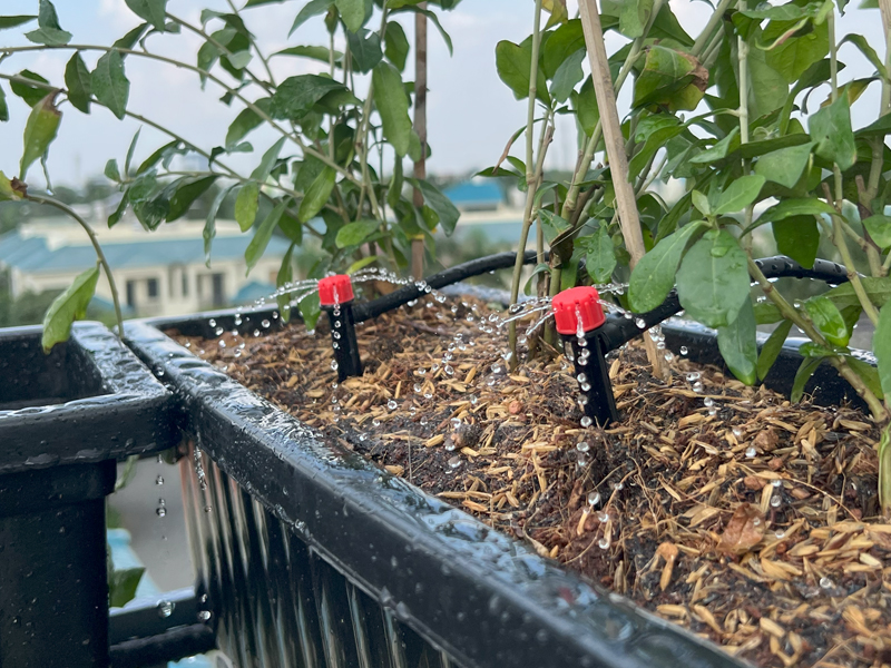 Hệ thống tưới cây tự động giúp tiết kiệm nước và công chăm sóc
